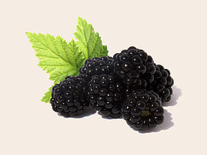 Pile of blackberries on table